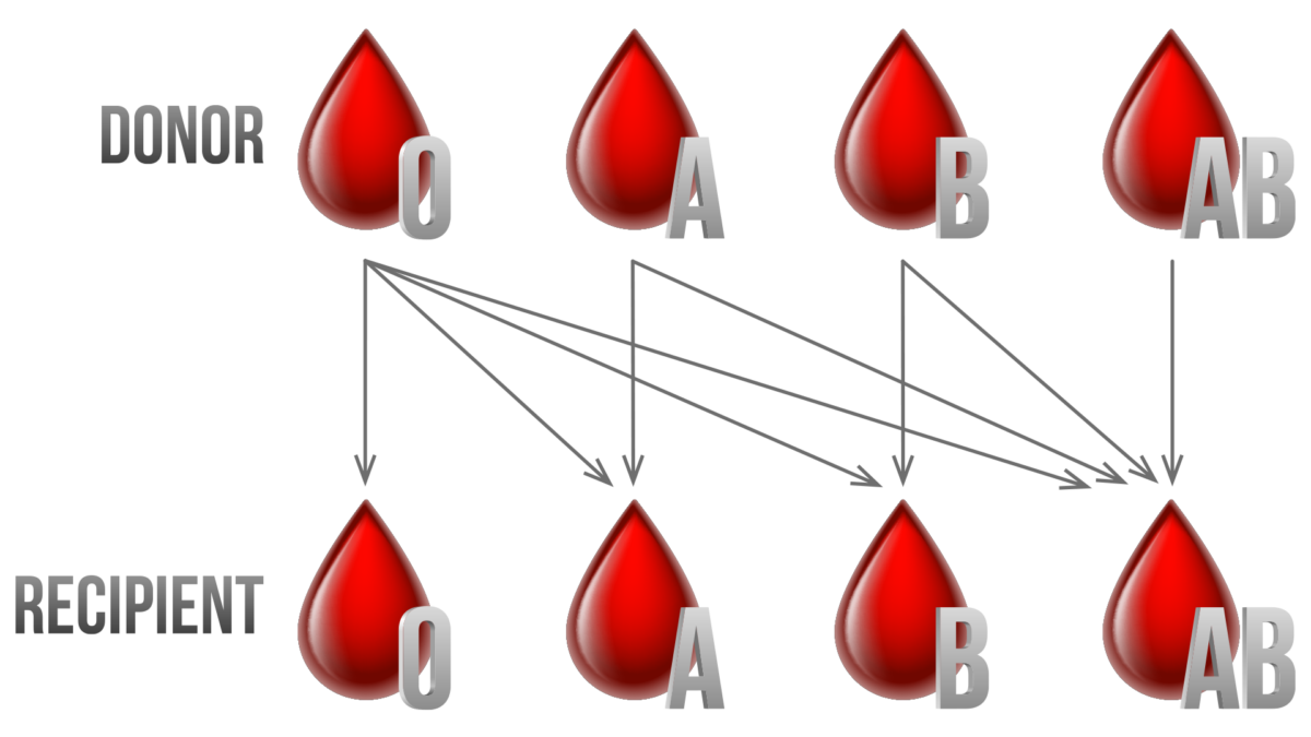 why-is-blood-typing-significant-signature-health-services